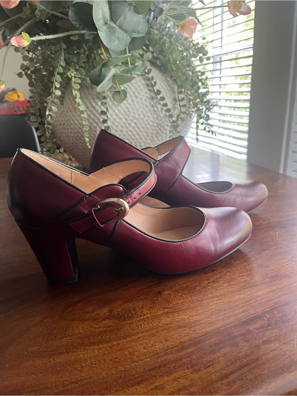 Burgundy Ombré Mary Jane Pumps with Block Heel | Vintage-Inspired | Size 10